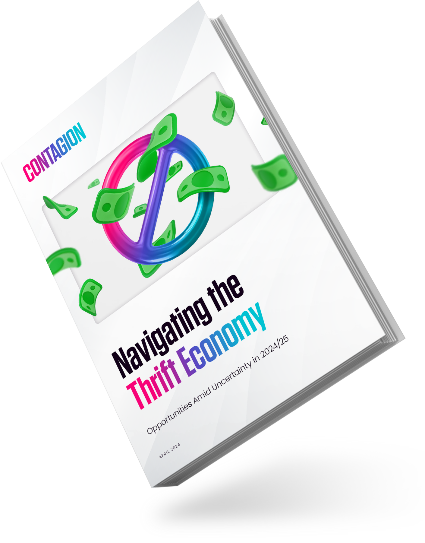 Navigating The Thrift Economy Ebook