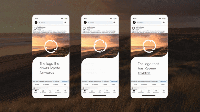 Toitu website case study v2 5(test)